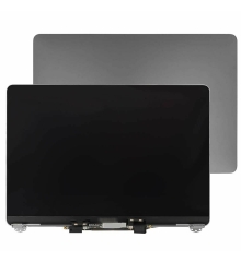 Cụm màn hình MacBook Pro 16 inch A2141 (2019) màu Silver - Tháo máy